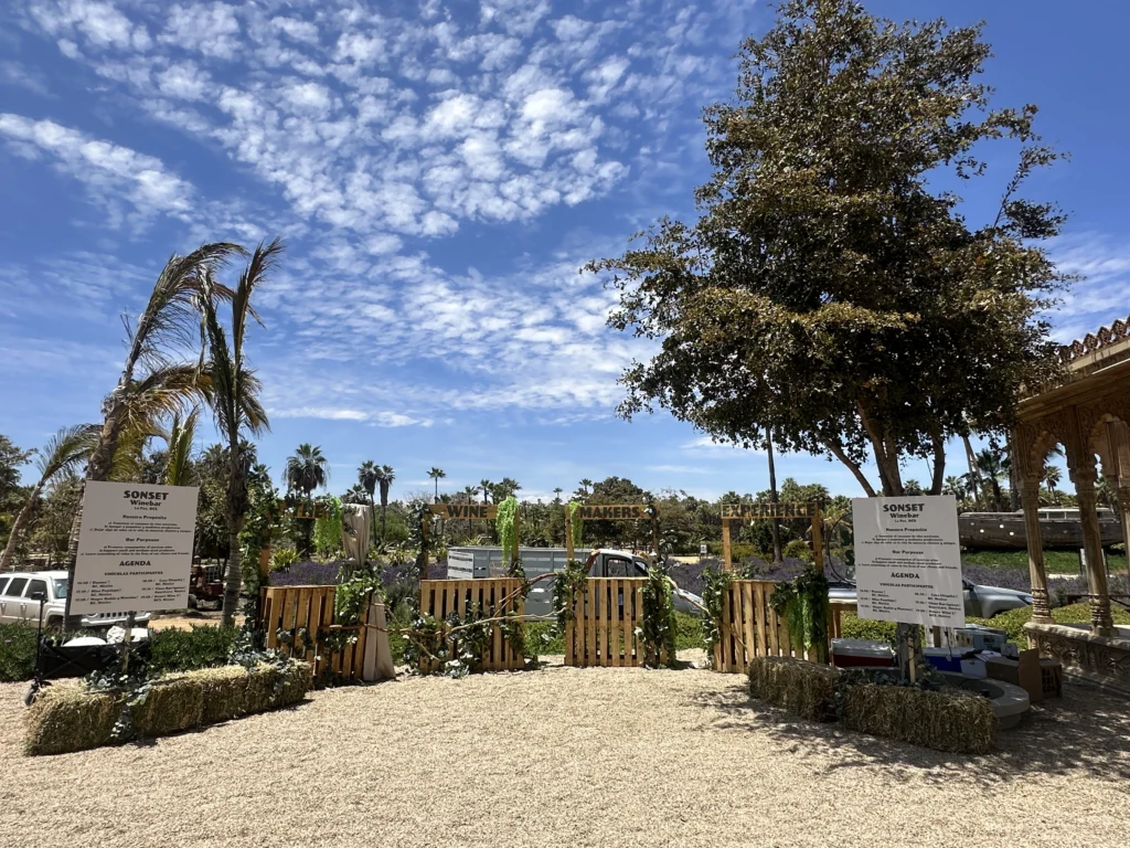 Eventos y escenografía (6)