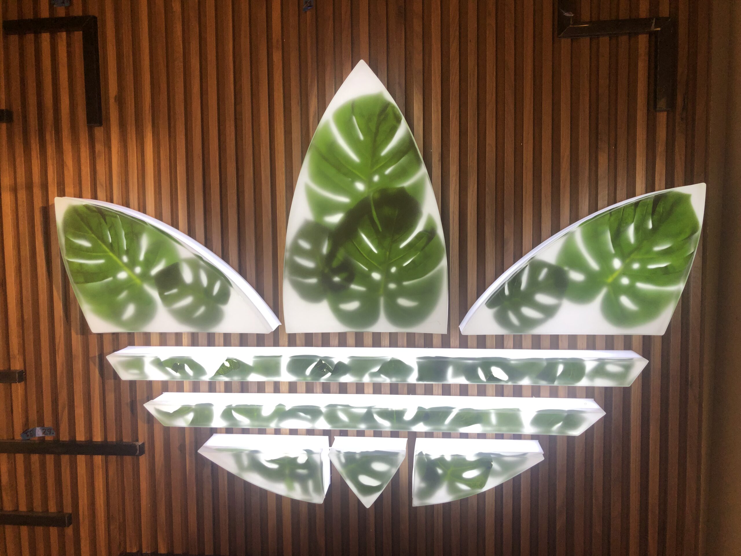 branding & retail (1)